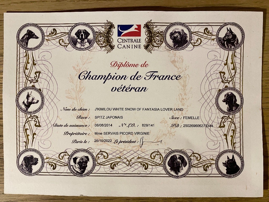 Of Blue Neverland - KimiLou, diplôme « Championne de France Vétérante »,
