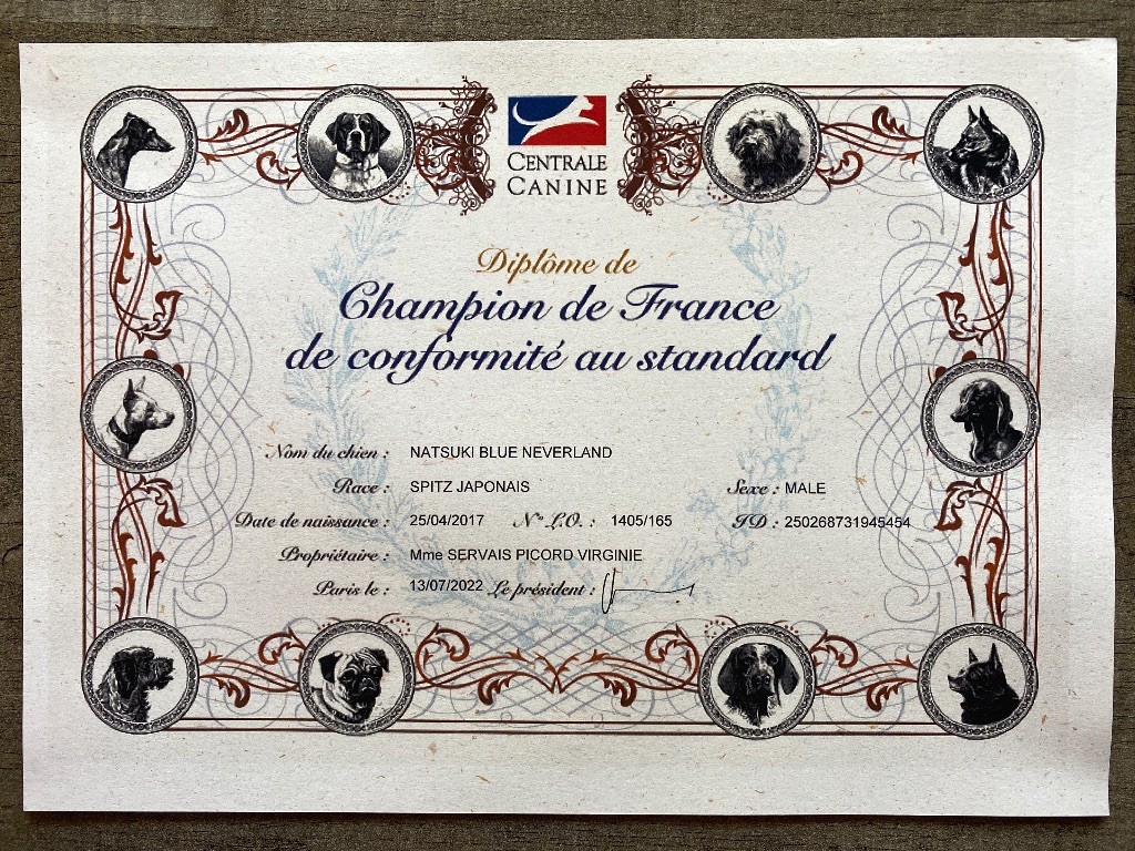 Of Blue Neverland - Diplôme de « Champion de France » de Natsuki Blue Neverland.